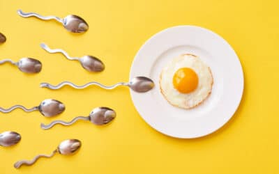 Alimentation et fertilité masculine : ce que vous devez savoir.