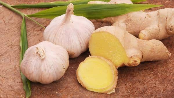 two-garlic-bulbs-and-sliced-ginger-root