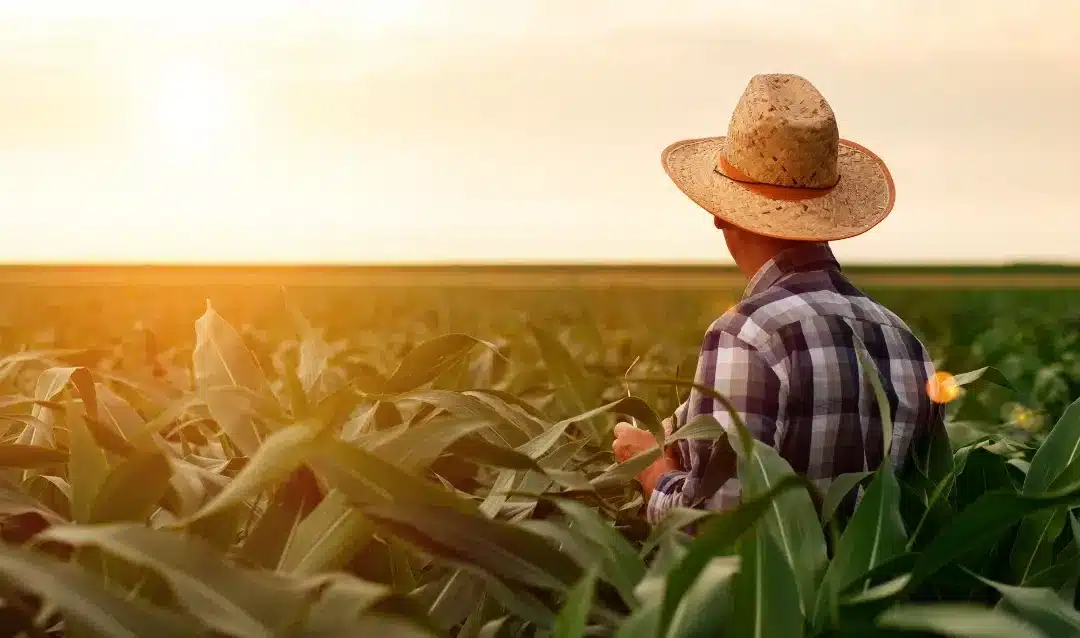 L’agriculture nourrit le pays, mais qui soutient les agriculteurs?