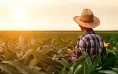 L’agriculture nourrit le pays, mais qui soutient les agriculteurs?