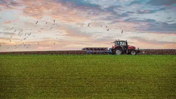 farmer tractor.jpg