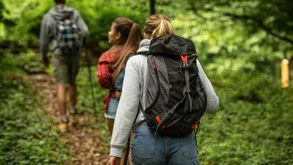 Le cardio en zone 2 : l’entraînement facile qui peut transformer la santé 1 inline hiking in forest 1.jpg